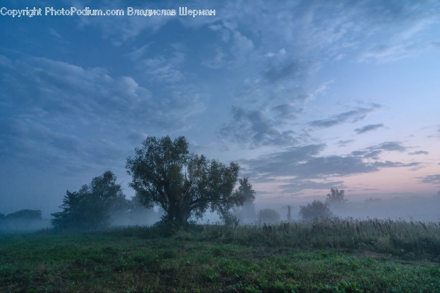 Field, Grass, Grassland, Land, Outdoors, Plateau, Landscape