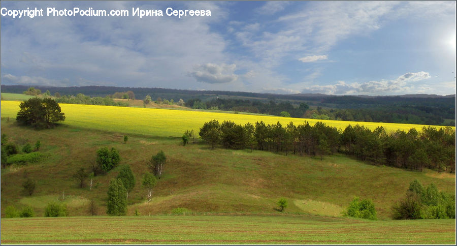 Field, Grass, Grassland, Land, Outdoors, Landscape, Nature