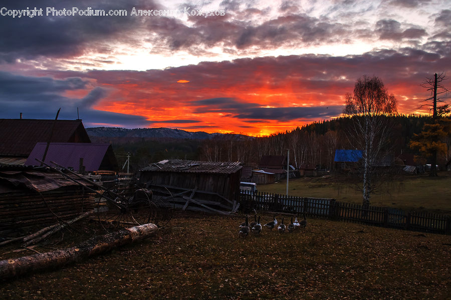 Dawn, Dusk, Red Sky, Sky, Sunrise, Sunset, Outdoors