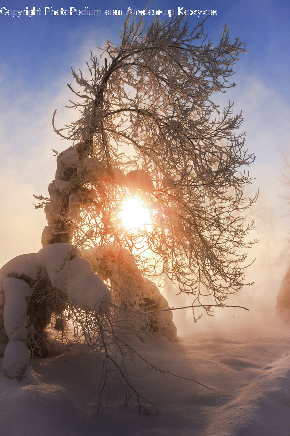 Flare, Light, Dawn, Dusk, Sky, Sunrise, Sunset
