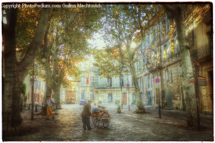 Buggy, Carriage, Horse Cart, Wagon, Cobblestone, Pavement, Walkway