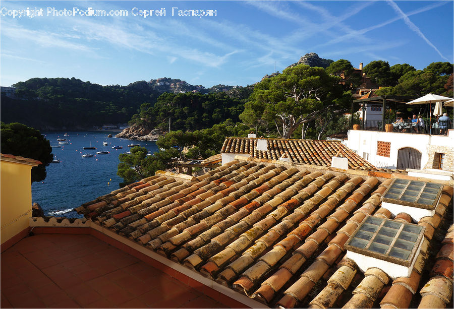 Roof, Plant, Potted Plant, Building, Housing, Gazebo, Balcony