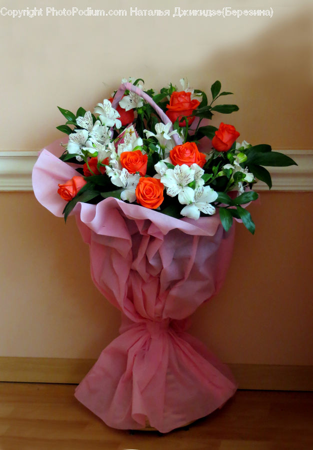 Plant, Potted Plant, Flower, Flower Arrangement, Flower Bouquet, Floral Design, Ikebana