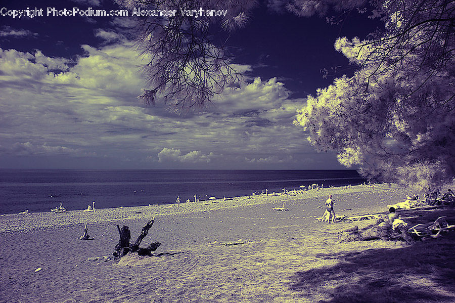 Beach, Coast, Outdoors, Sea, Water, Landscape, Nature
