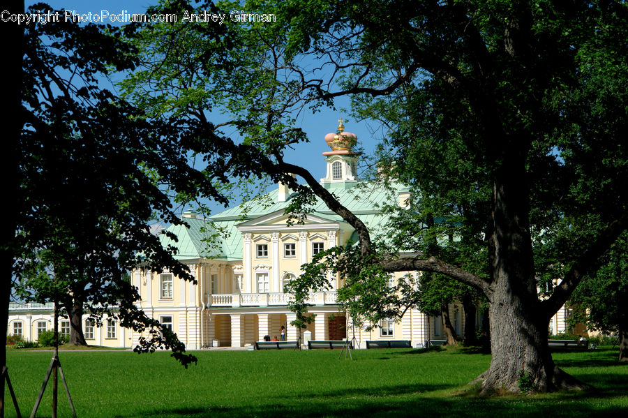 Tripod, Plant, Tree, Building, Cottage, Housing, Villa