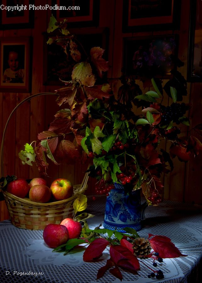 Plant, Potted Plant, Ivy, Vine, Fruit, Acanthaceae, Annonaceae