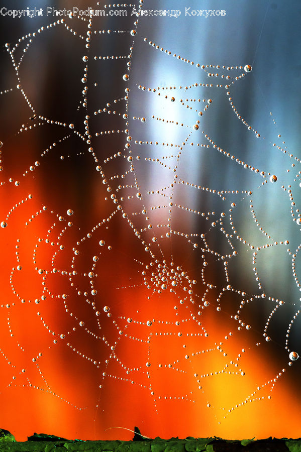 Fractal