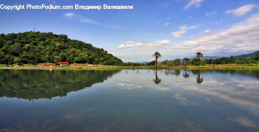 Lake, Outdoors, Water, Field, Grass, Grassland, Plant