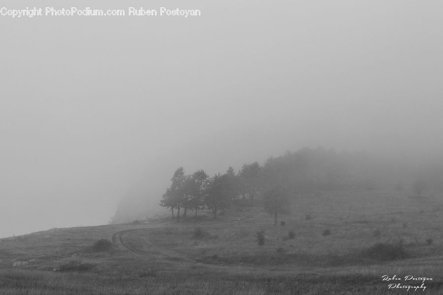 Fog, Countryside, Hill, Outdoors, Road, Field