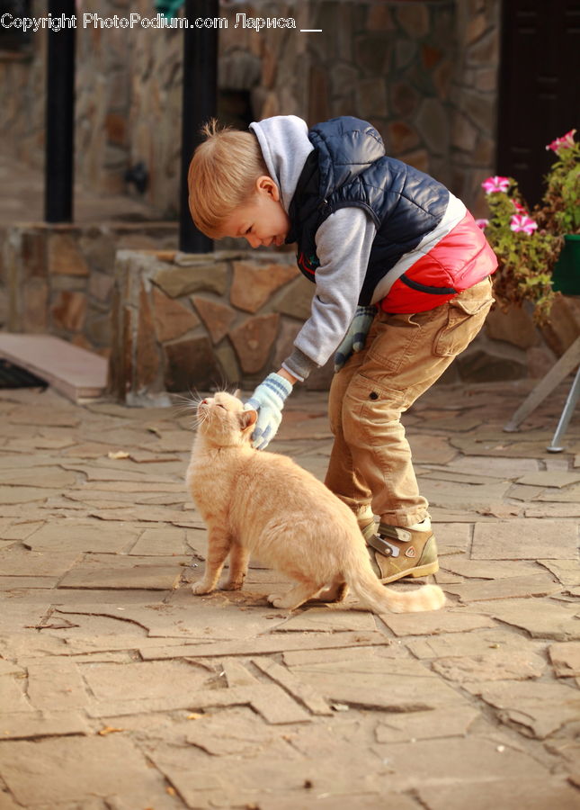 People, Person, Human, Animal, Canine, Dog, Golden Retriever