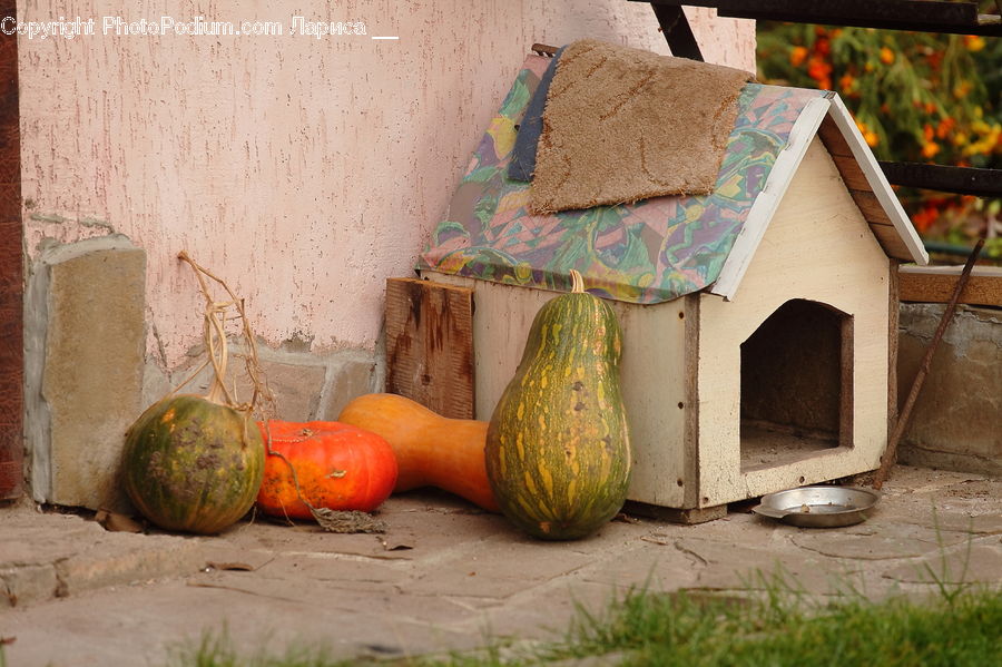 Squash, Vegetable, Bread, Bread Loaf, Food, French Loaf, Cookie