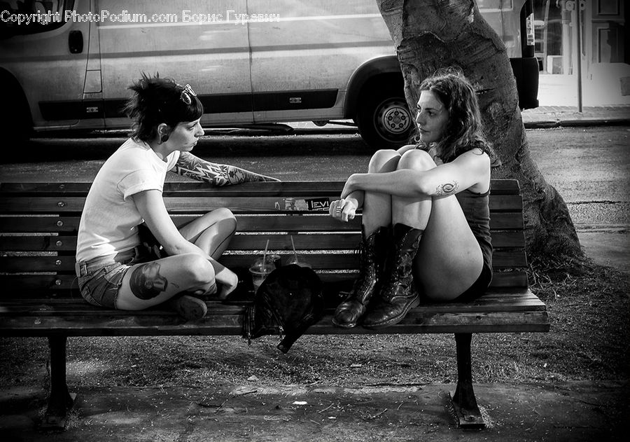 Human, People, Person, Bench, Angus, Animal, Bull
