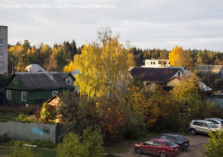 Building, Cottage, Housing, Fence, Cabin, Hut, Rural