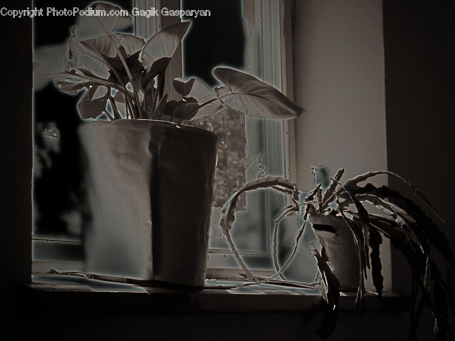 Wire, Plant, Potted Plant, Paper, Art, Modern Art, Person