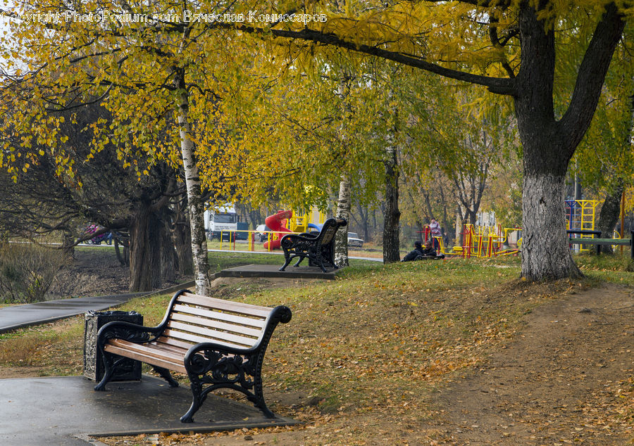 Park Bench, Bench, Park