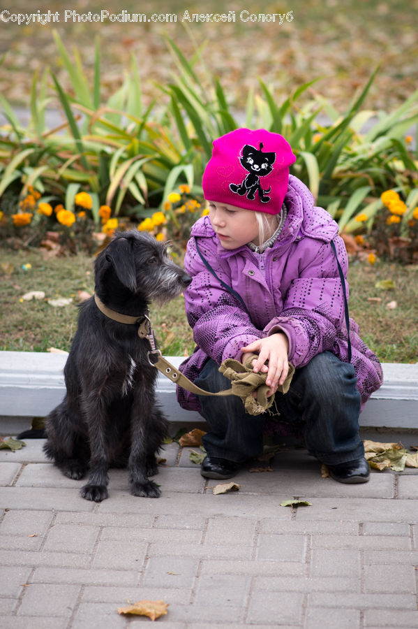 Human, People, Person, Animal, Canine, Cocker Spaniel, Dog