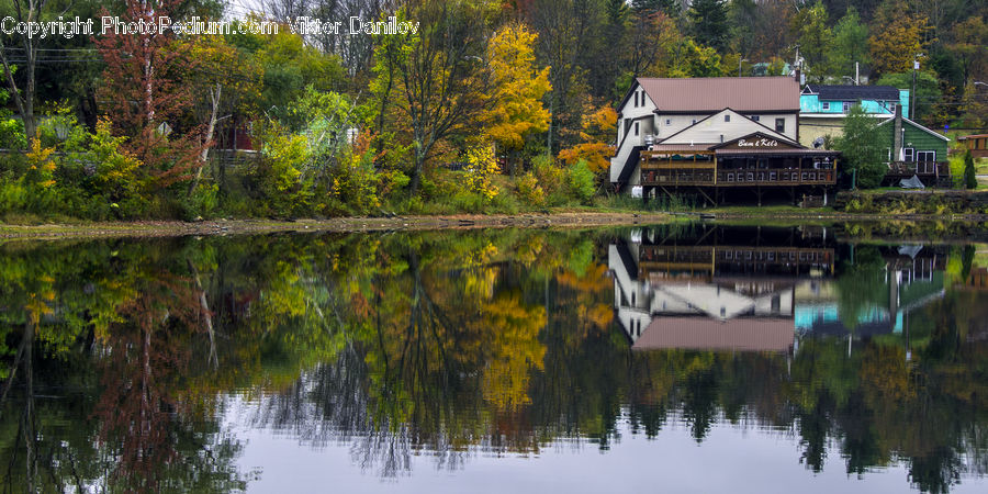 Outdoors, Pond, Water, Building, Cottage, Housing, Forest