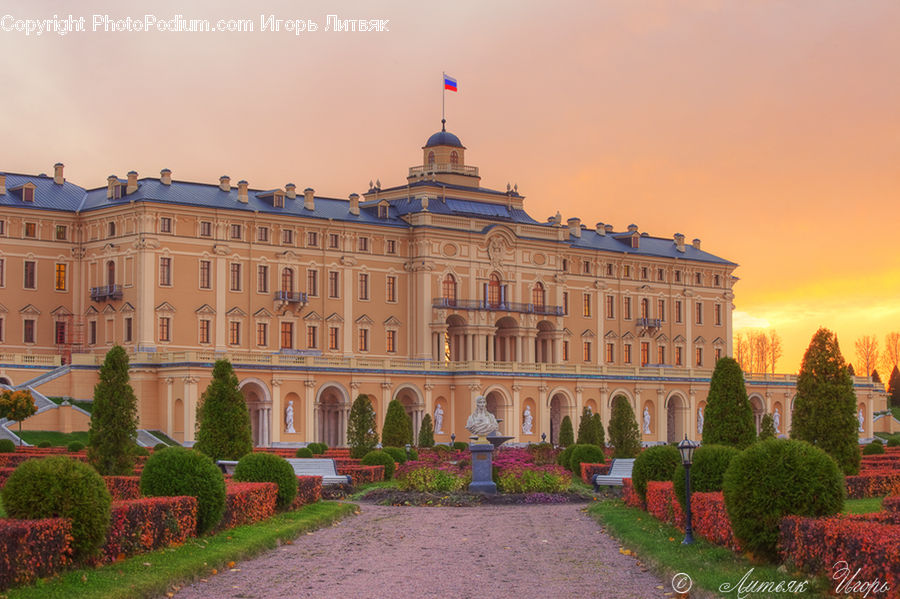 Architecture, Castle, Mansion, Palace, Fence, Hedge, Plant
