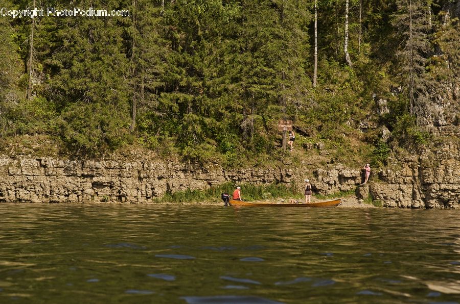 Boat, Canoe, Rowboat, Outdoors, River, Water, Forest