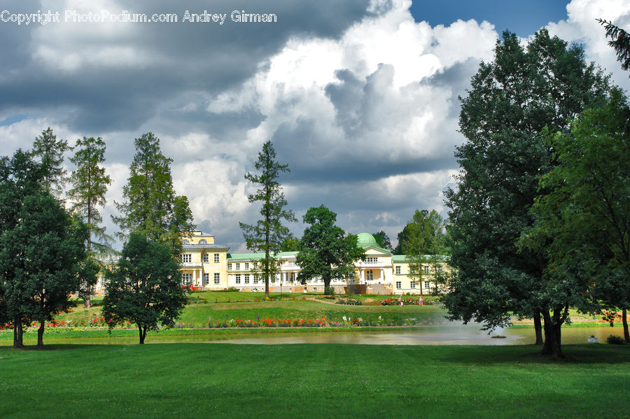 Building, Housing, Villa, Yard, Plant, Tree, Architecture
