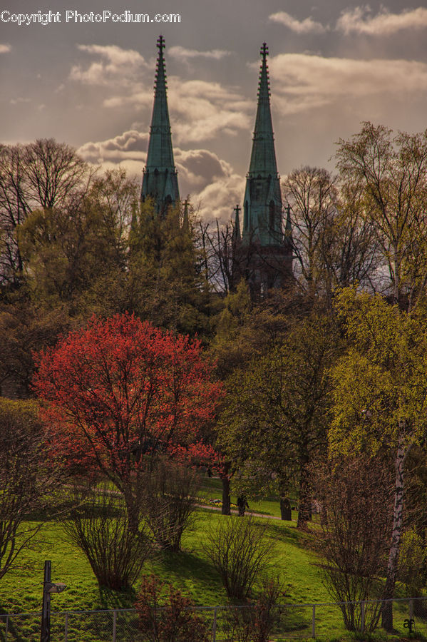 Architecture, Spire, Steeple, Tower, Bell Tower, Clock Tower, Building