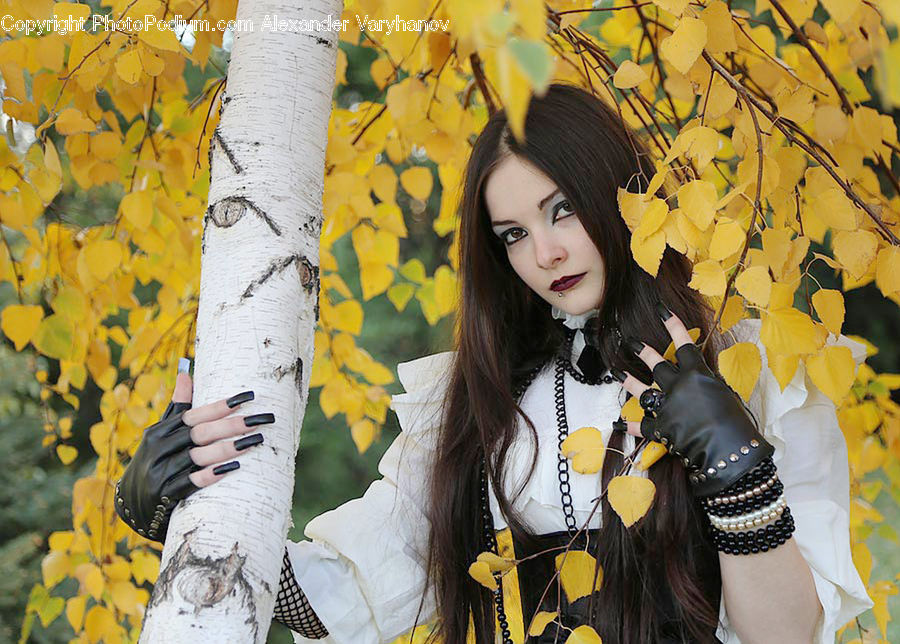 People, Person, Human, Birch, Tree, Wood, Female