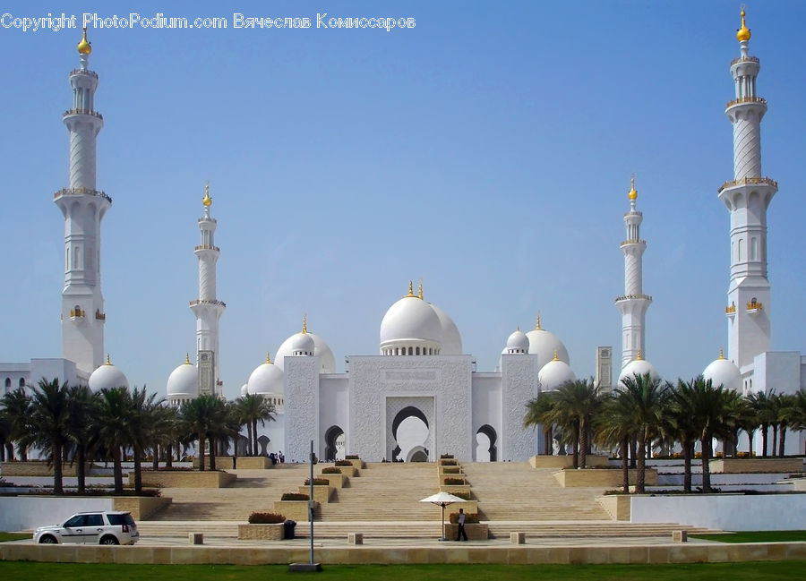 Architecture, Dome, Mosque, Worship, Palm Tree, Plant, Tree