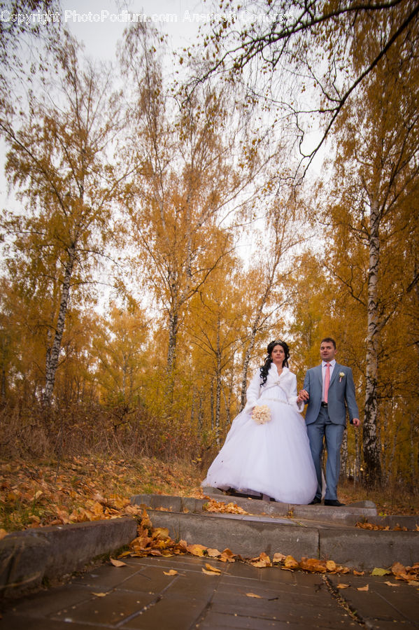 People, Person, Human, Bride, Gown, Wedding, Robe