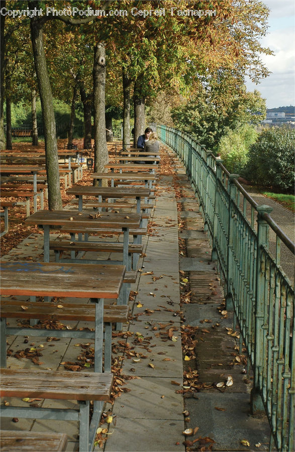 Lumber, Wood, Boardwalk, Deck, Path, Sidewalk, Walkway
