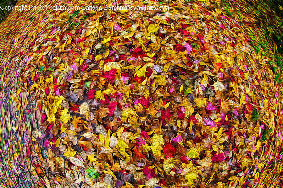 Blossom, Flora, Flower, Plant, Ground, Soil