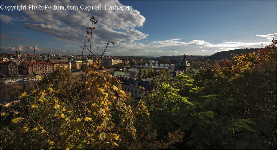 Aerial View, Building, Downtown, Town, Landscape, Nature, Scenery