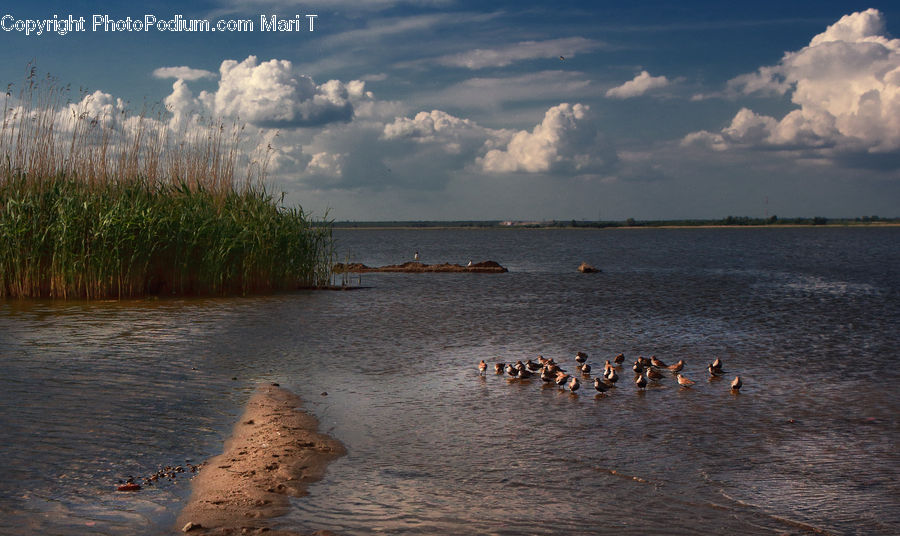 Lake, Outdoors, Water, Beach, Coast, Sea, Landscape