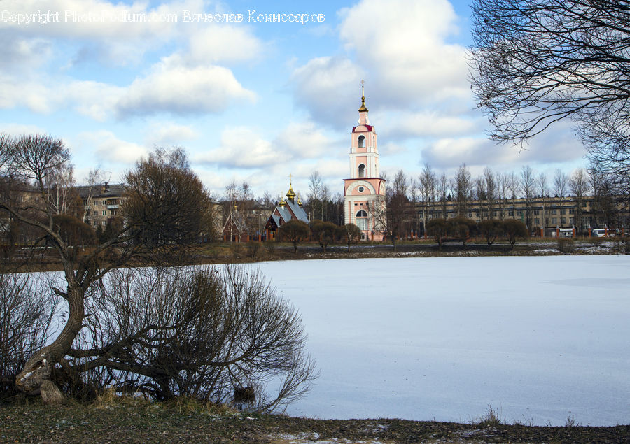 Oak, Tree, Wood, Architecture, Bell Tower, Clock Tower, Tower
