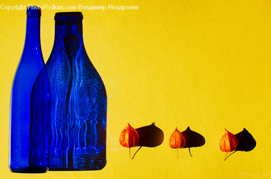 Bottle, Blossom, Flora, Flower, Petal, Plant, Maple