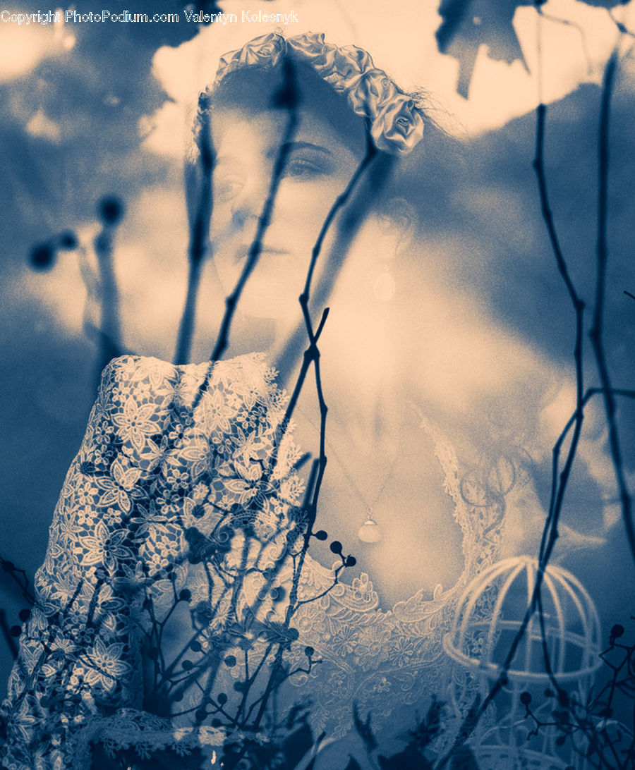 Frost, Ice, Outdoors, Snow, Field, Grass, Grassland