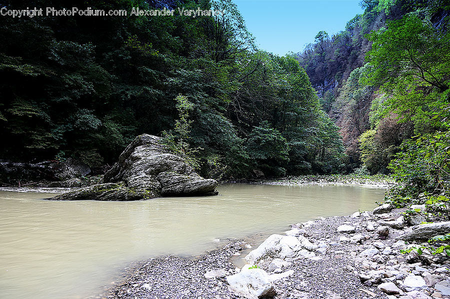 Creek, Outdoors, River, Water, Forest, Jungle, Rainforest