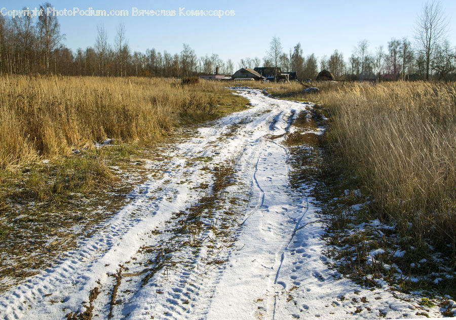 Ditch, Dirt Road, Gravel, Road, Field, Grass, Grassland