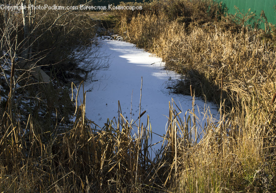 Ditch, Field, Grass, Grassland, Plant, Land, Marsh