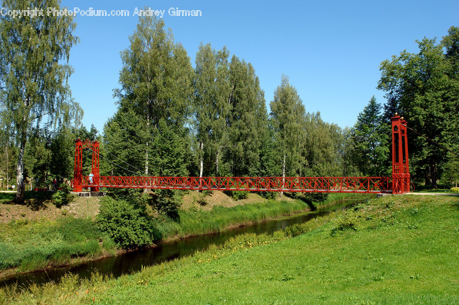 Bridge, Conifer, Fir, Plant, Tree, Playground, Swing
