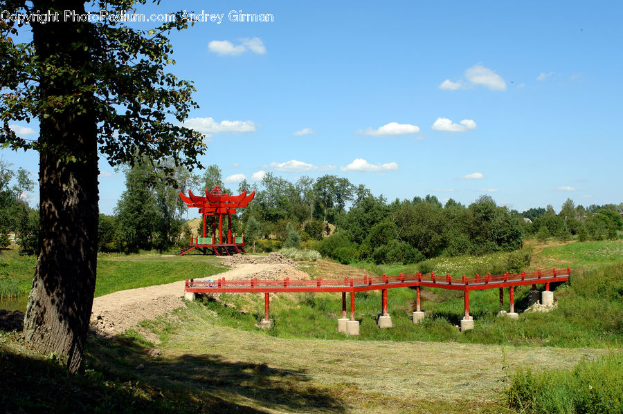 Oak, Tree, Wood, Grassland, Mound, Plant, Park