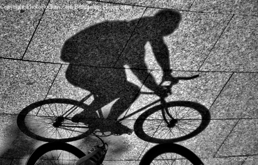 Bicycle, Bike, Vehicle, Bmx, Asphalt, Tarmac, Brick