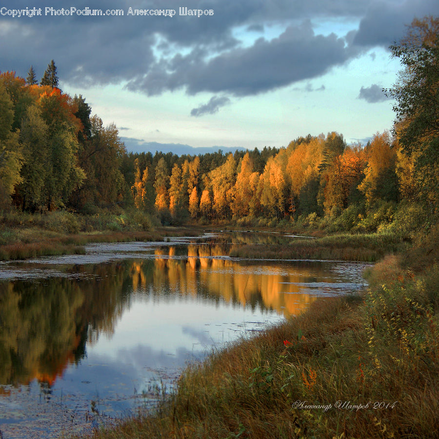 Lake, Outdoors, Water, River, Nature, Land, Marsh