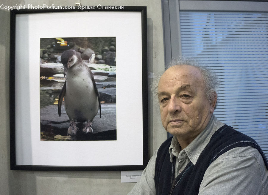 People, Person, Human, Animal, Zoo, Art, Modern Art