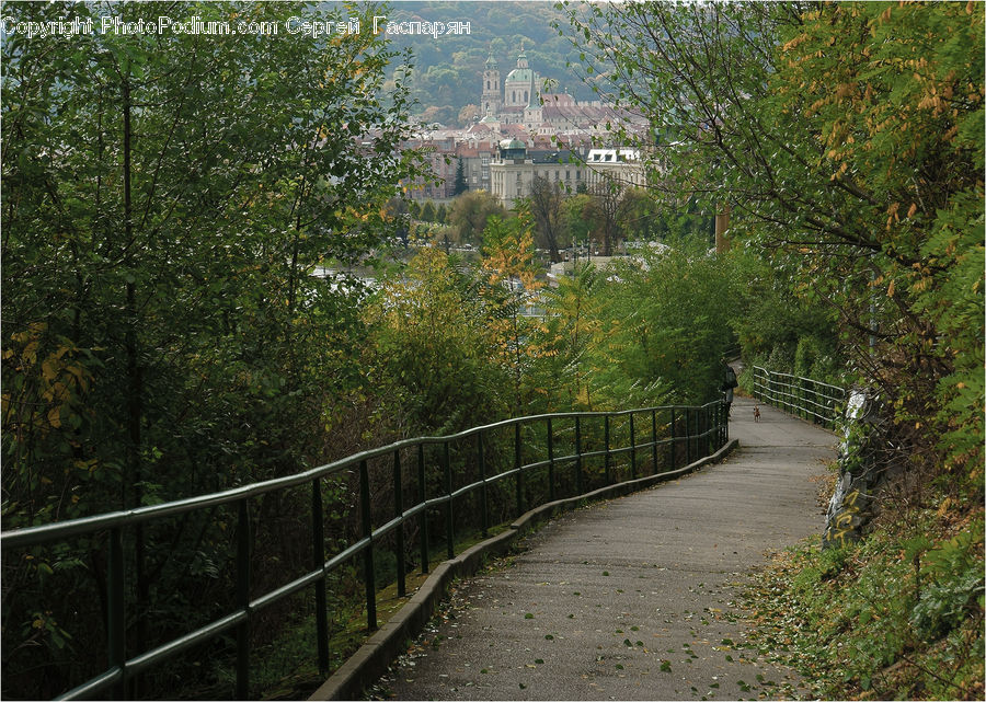 Path, Road, Walkway, Boardwalk, Deck, Sidewalk, Trail