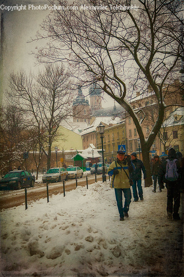 People, Person, Human, Dirt Road, Gravel, Road, Campus
