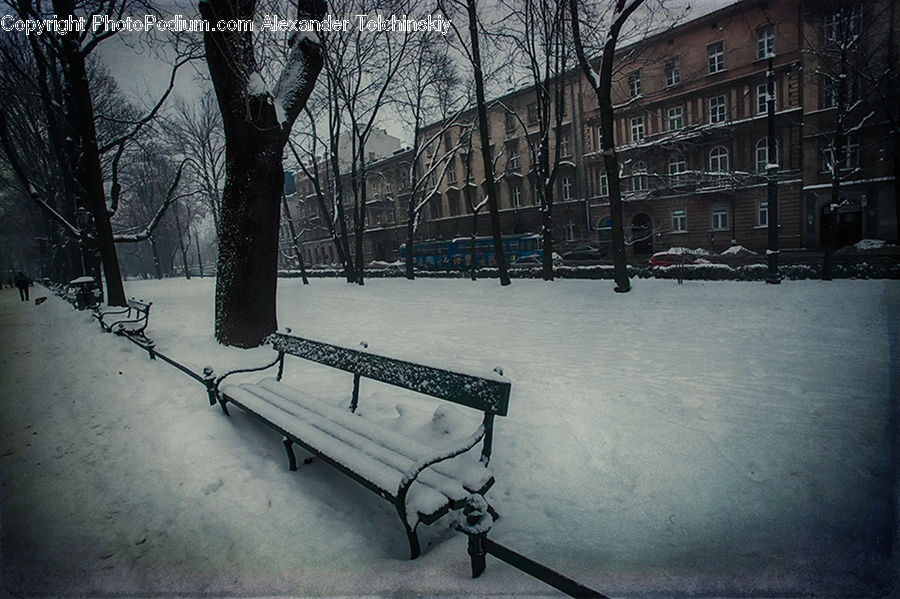 People, Person, Human, Bench, Chair, Furniture, Plant