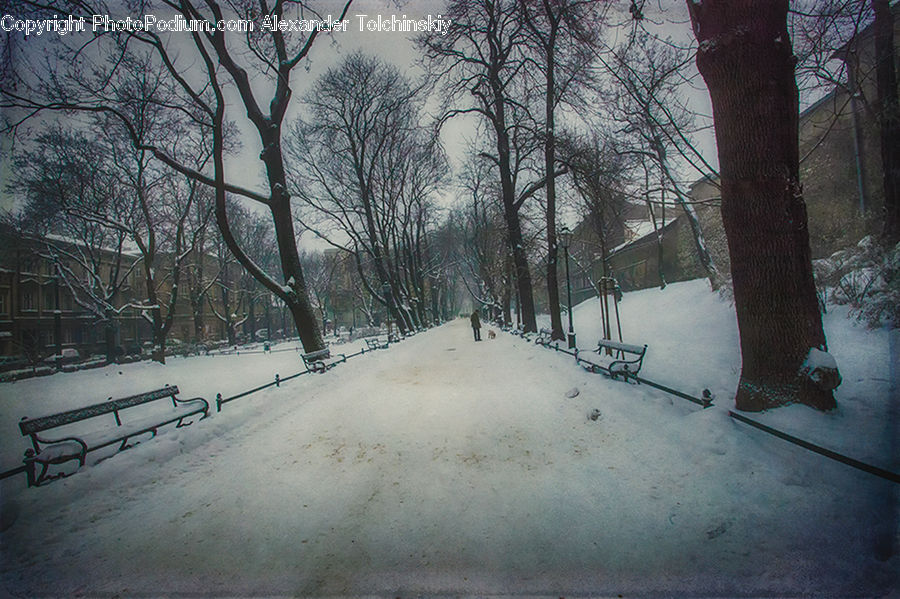 Bench, Heel, Blizzard, Outdoors, Snow, Weather, Winter