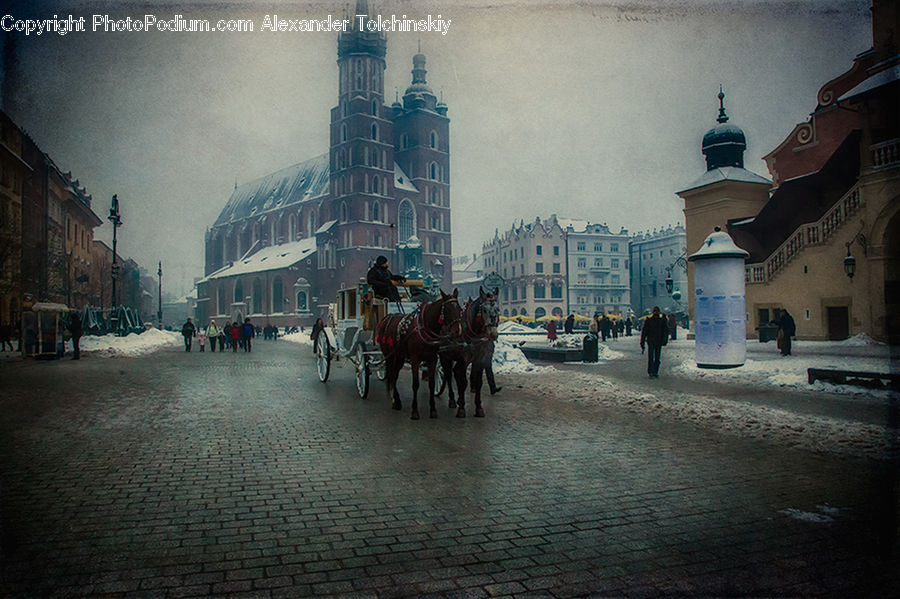 Animal, Horse, Mammal, Cobblestone, Pavement, Walkway, Architecture