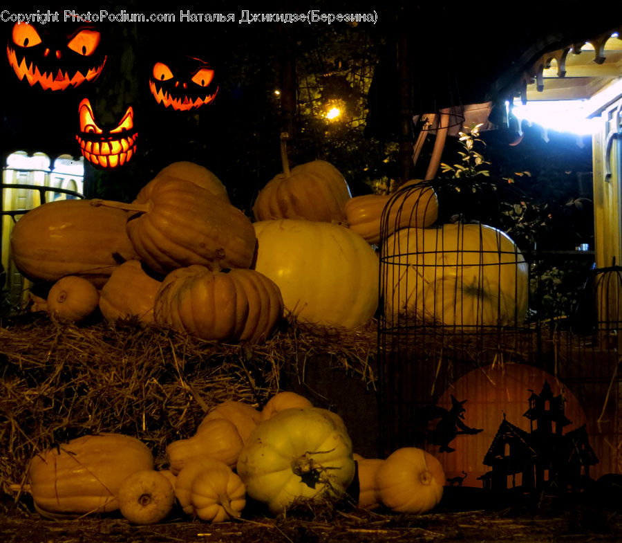 Pumpkin, Squash, Vegetable, Garlic, Plant, Fruit, Melon