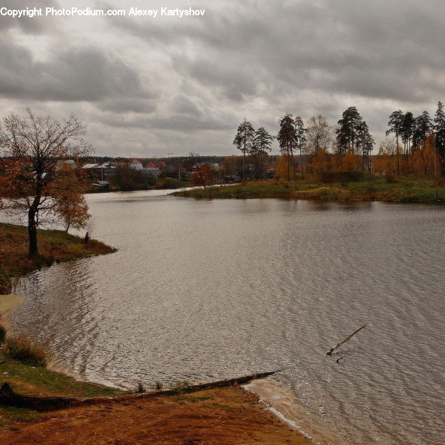 Flood, Land, Marsh, Outdoors, Swamp, Water, River